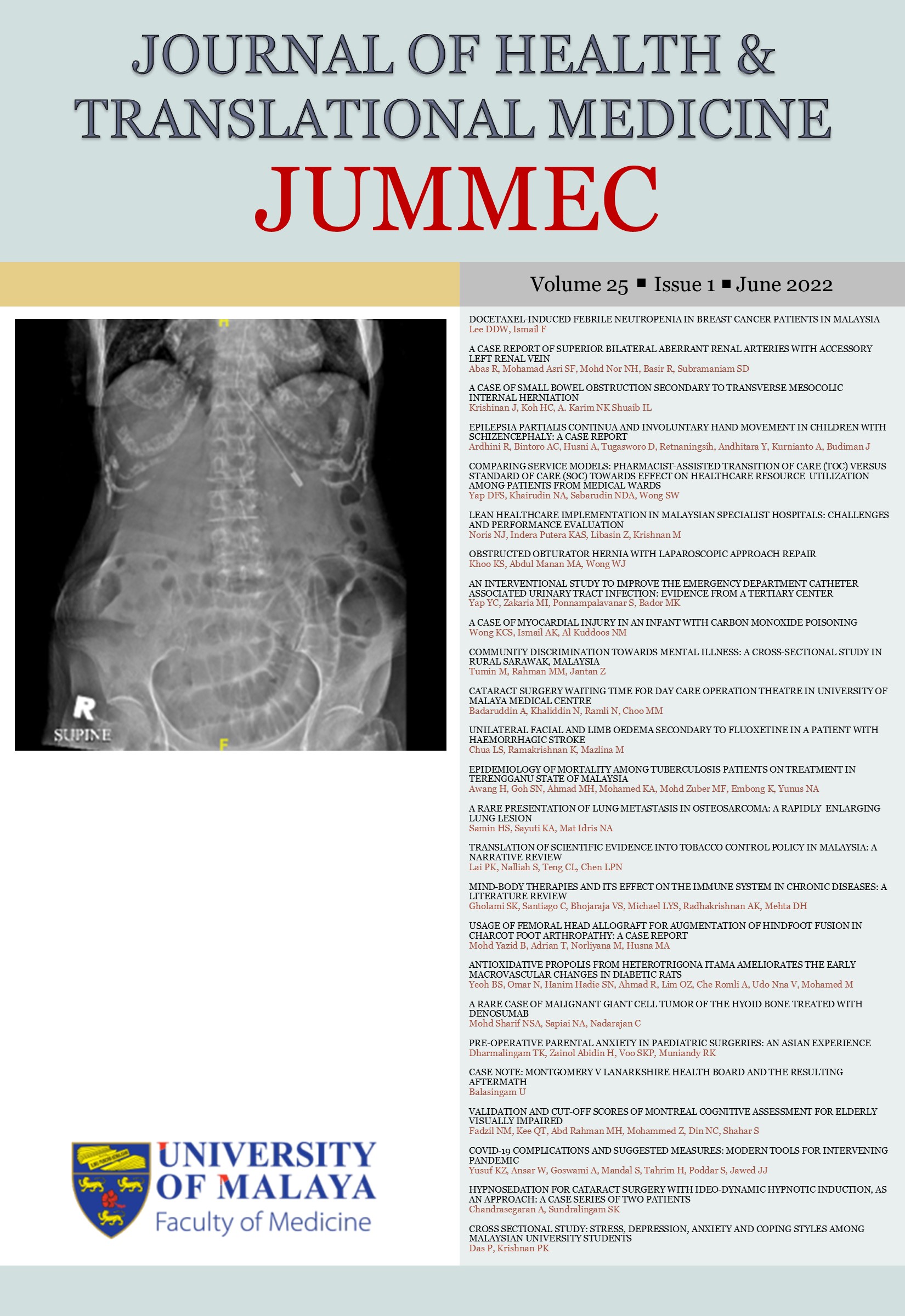 					View Vol. 25 No. 1 (2022)
				